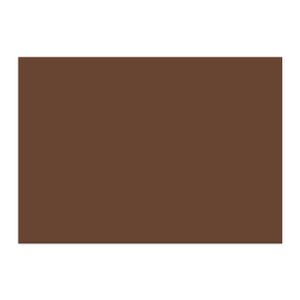CARTULINA 44,5x63 MARRON