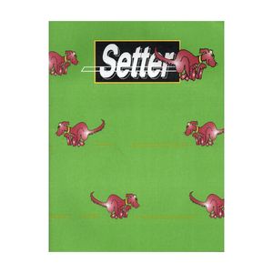 CUAD.T/FLEX.SETTER x 48 LISO