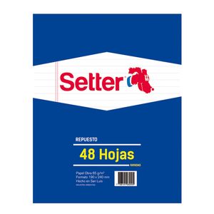 REPUESTO SETTER x 48 RAY.