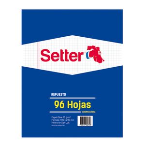 REPUESTO SETTER x 96 CUADRICULADO