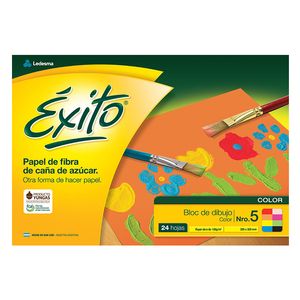 BLOCK EXITO DIBUJO N.5 COLOR x 24 H.
