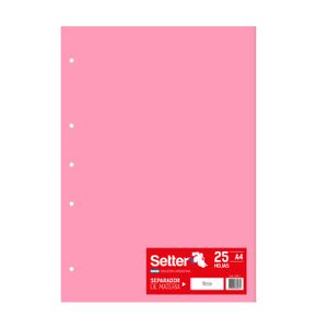 CARTULINA T/A4 x 25 ROSA