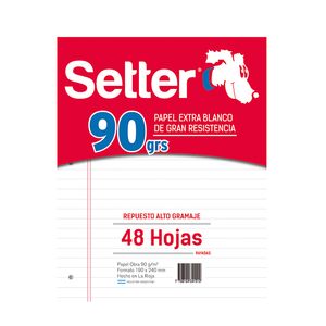 REPUESTO SETTER 90 GRS. A4 x 48 RAYADO