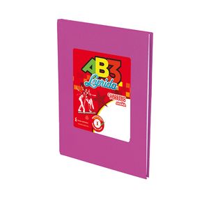 CUAD.T/DURA LAPRIDA AB3 19x23,5 FORRADO x 50 LILA RAY.