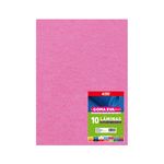 GOMA EVA 21x29,7cm. PTE.x10 COLORES SURT. - Tomy