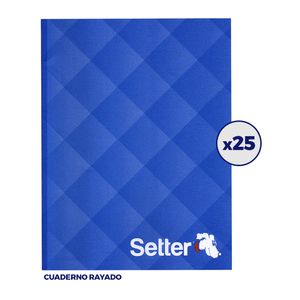 COMBO 25 CUAD.T/FLEX.SETTER x 24 RAY.