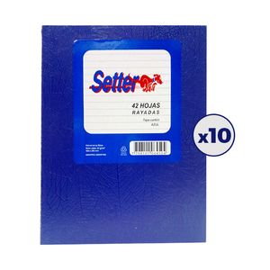 COMBO 10 CUAD.T/DURA SETTER FORRADO AZUL x 42 h.RAY.