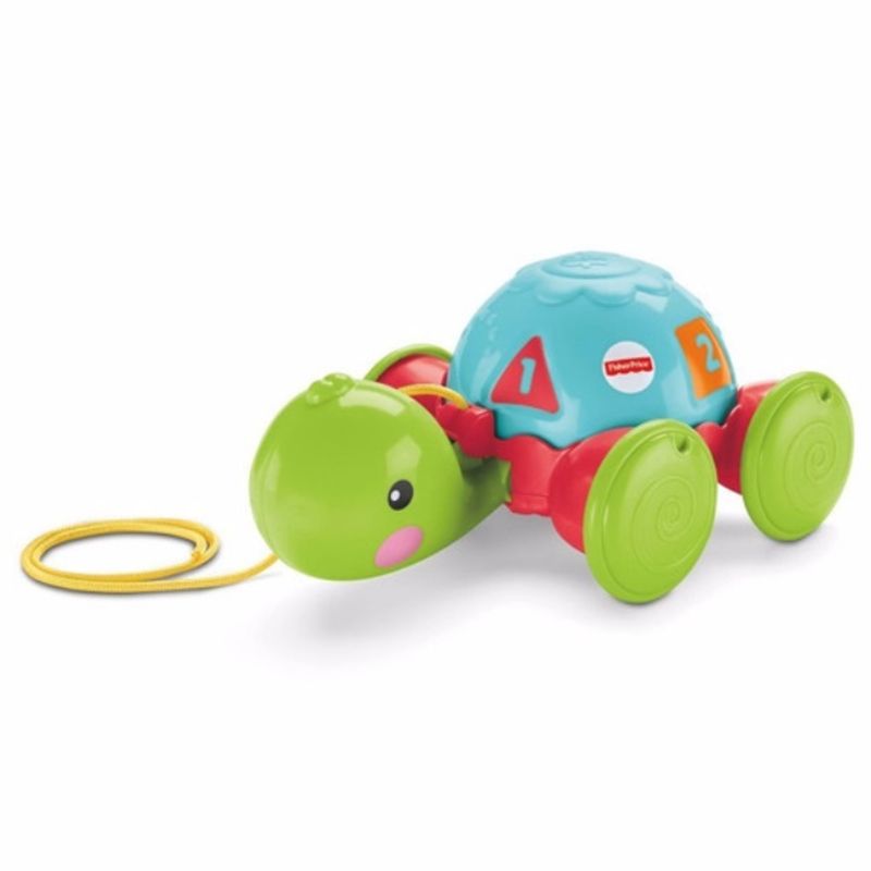 Tortuga fisher best sale price precio
