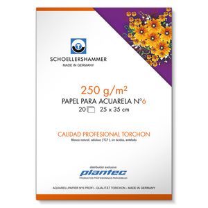 BLOCK PLANTEC TORCHON ACUARELA ENCOLADO 25x35 250 GRS.x 20 H.