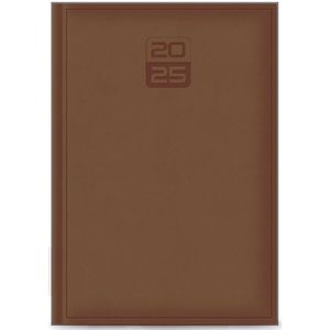 AGENDA 2025 DIARIA 14x20 TUCSON CAMOSHO
