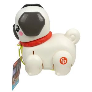 ARRASTRE FISHER PRICE PASEA AL PERRITO